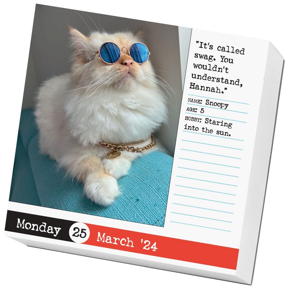 Bad Cat 2024 Desk Calendar