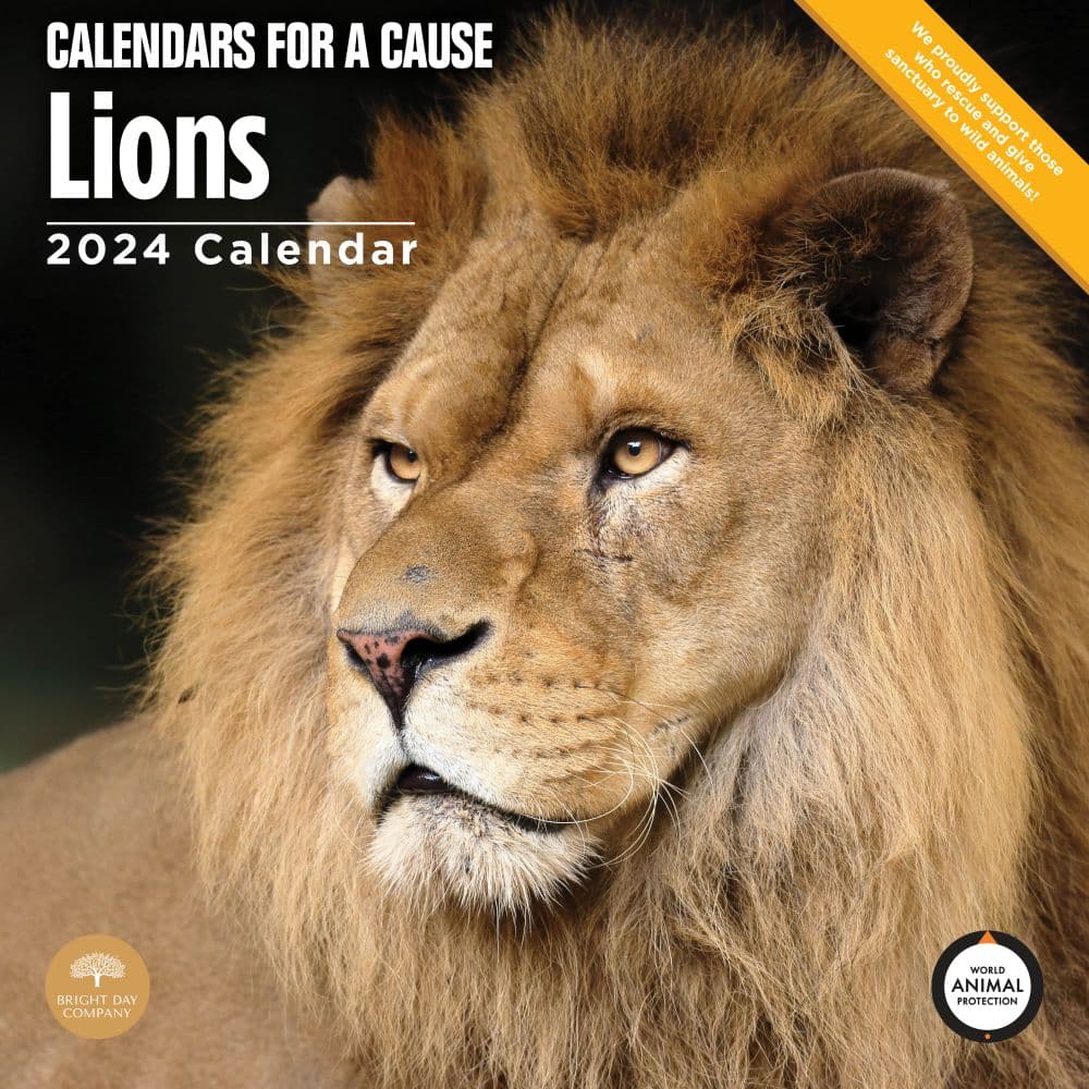 Lions 2024 Wall Calendar Main Image