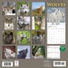 image Wolves Special Value 2026 Wall Calendar First Alternate Image