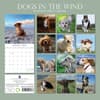image Dogs in the Wind 2024 Wall Calendar First Alternate Image width=&quot;1000&quot; height=&quot;1000&quot;