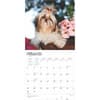 image Shih Tzu 2025 Wall Calendar Second Alternate Image width=&quot;1000&quot; height=&quot;1000&quot;