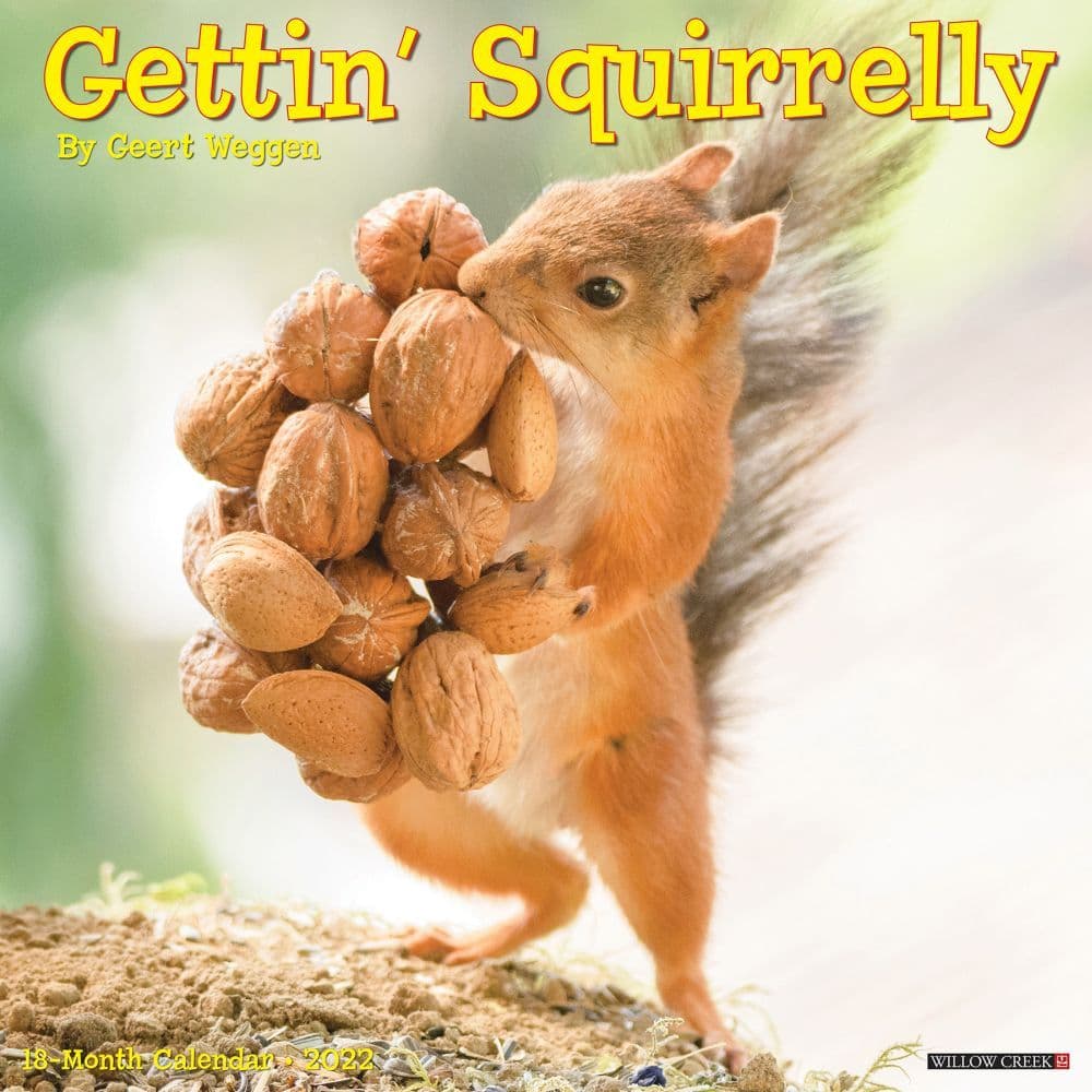 Getting Squirrelly 2022 Wall Calendar