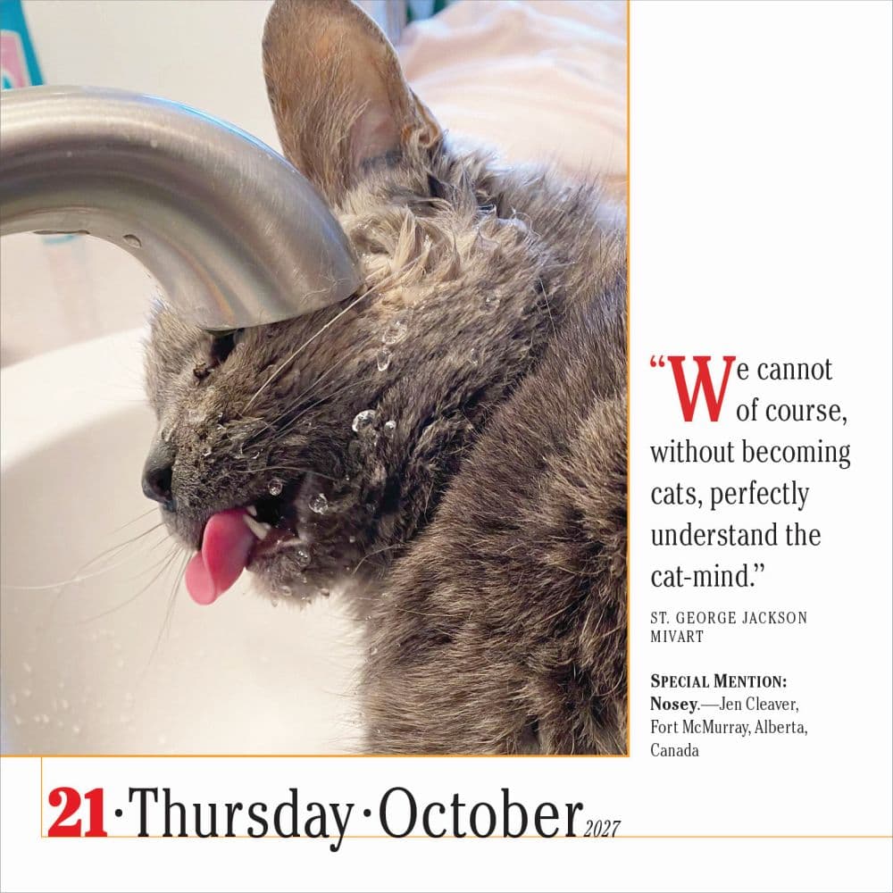 365 Cats 2027 Page-A-Day Desk Calendar Fourth Alternate Image