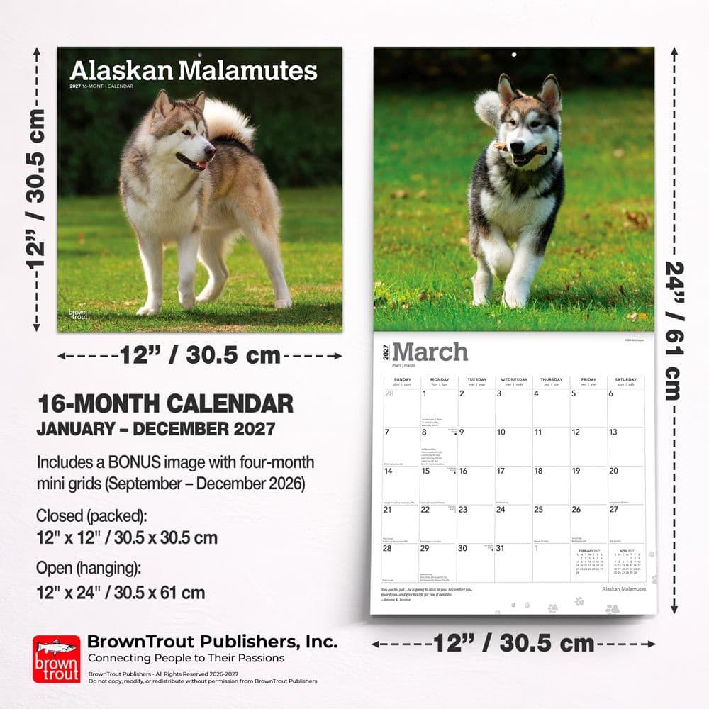 Alaskan Malamutes 2027 Wall Calendar Sixth Alternate Image