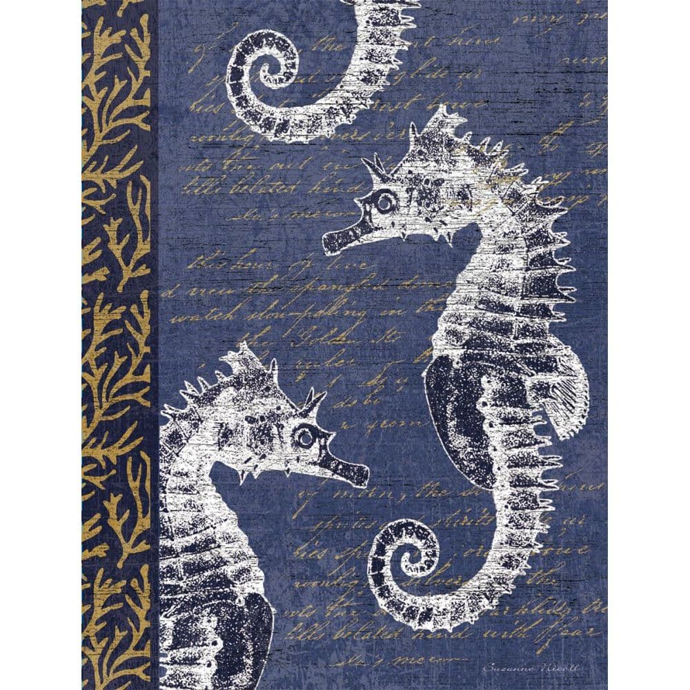 Ocean Treasure Boxed Note Cards by Suzanne Nicoll