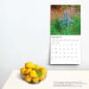 image Wildflowers 2024 Wall Calendar Third Alternate Image width=&quot;1000&quot; height=&quot;1000&quot;