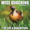 image Wise Quacking 2025 Wall Calendar Main Image