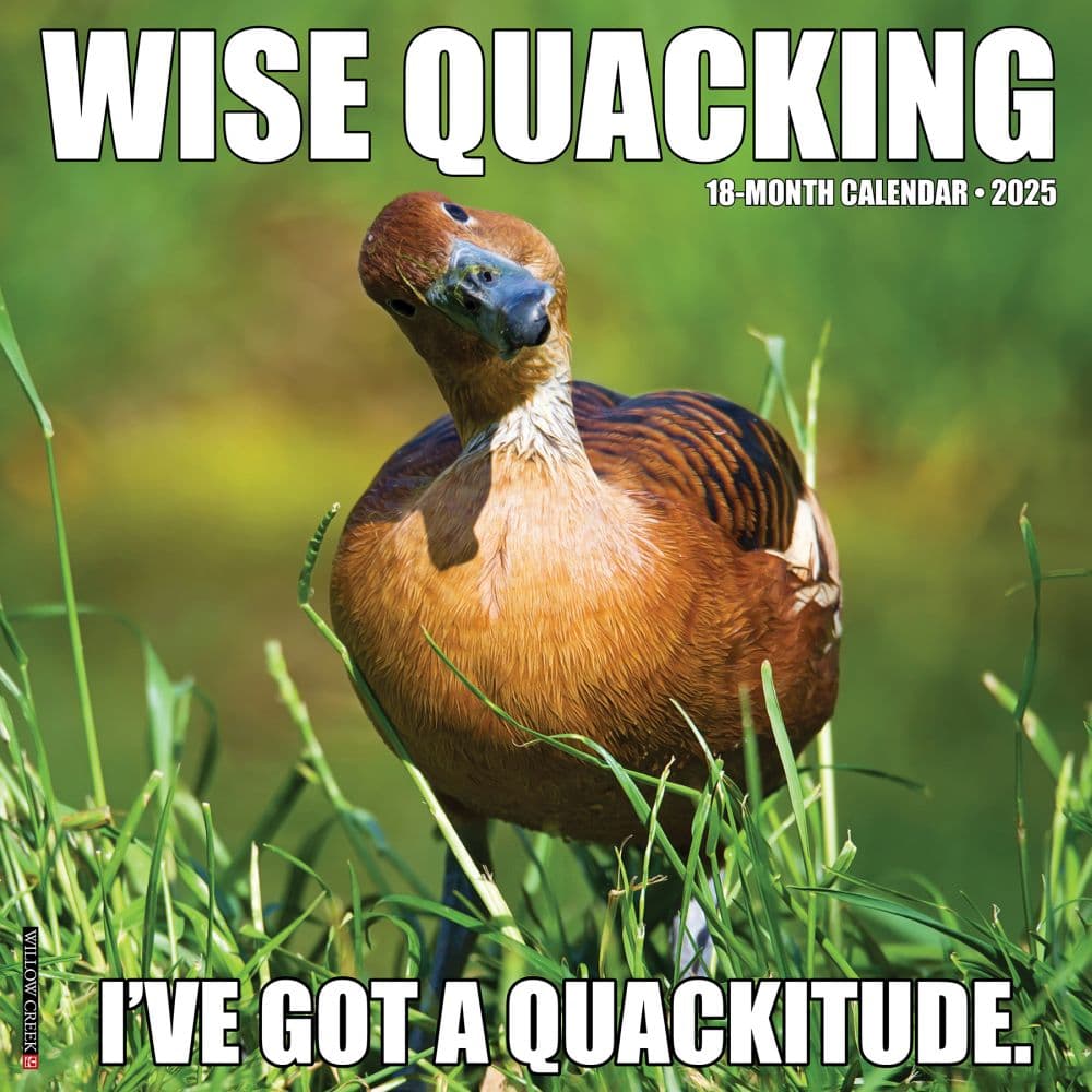 Wise Quacking 2025 Wall Calendar Main Image