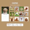 image Cavapoos 2027 Wall Calendar First Alternate Image