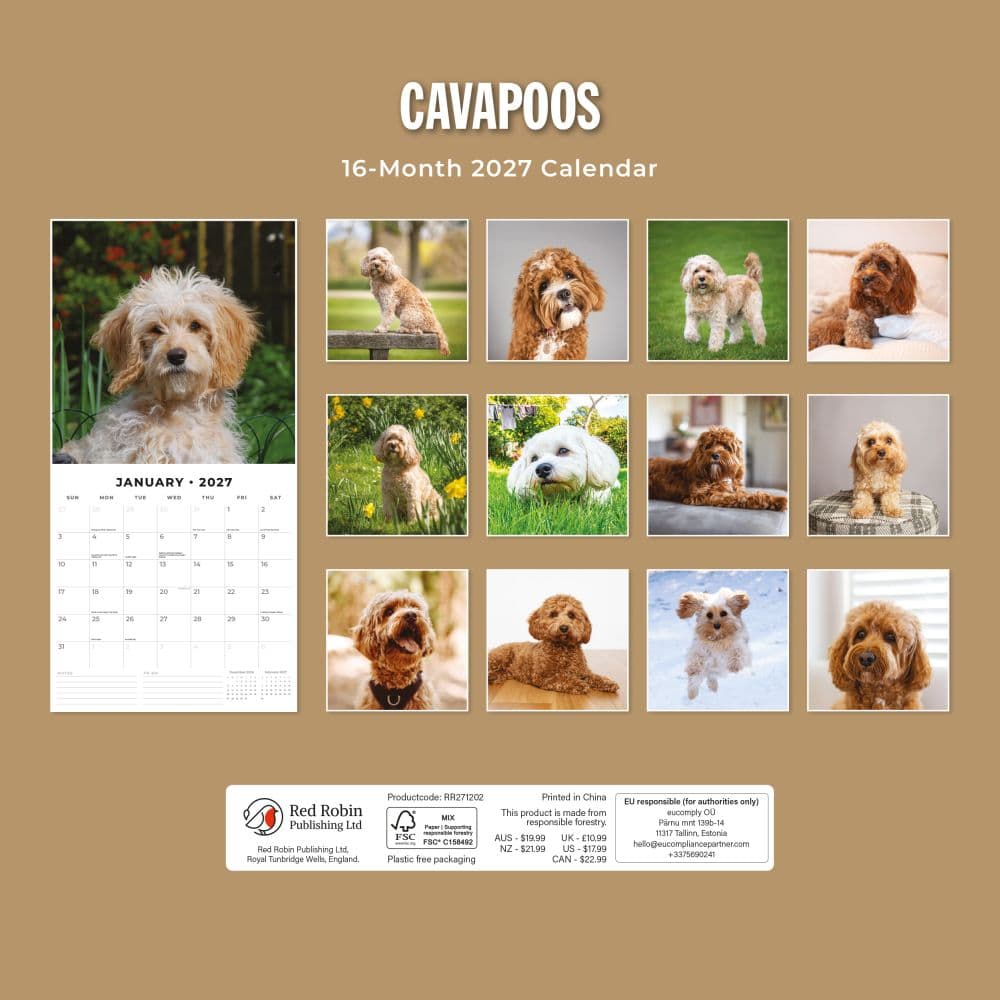 Cavapoos 2027 Wall Calendar First Alternate Image