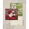 image Puppies 2025 Wall Calendar Third Alternate Image width=&quot;1000&quot; height=&quot;1000&quot;