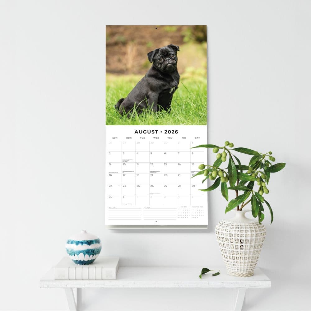 Pugs 2026 Wall Calendar Third Alternate Image