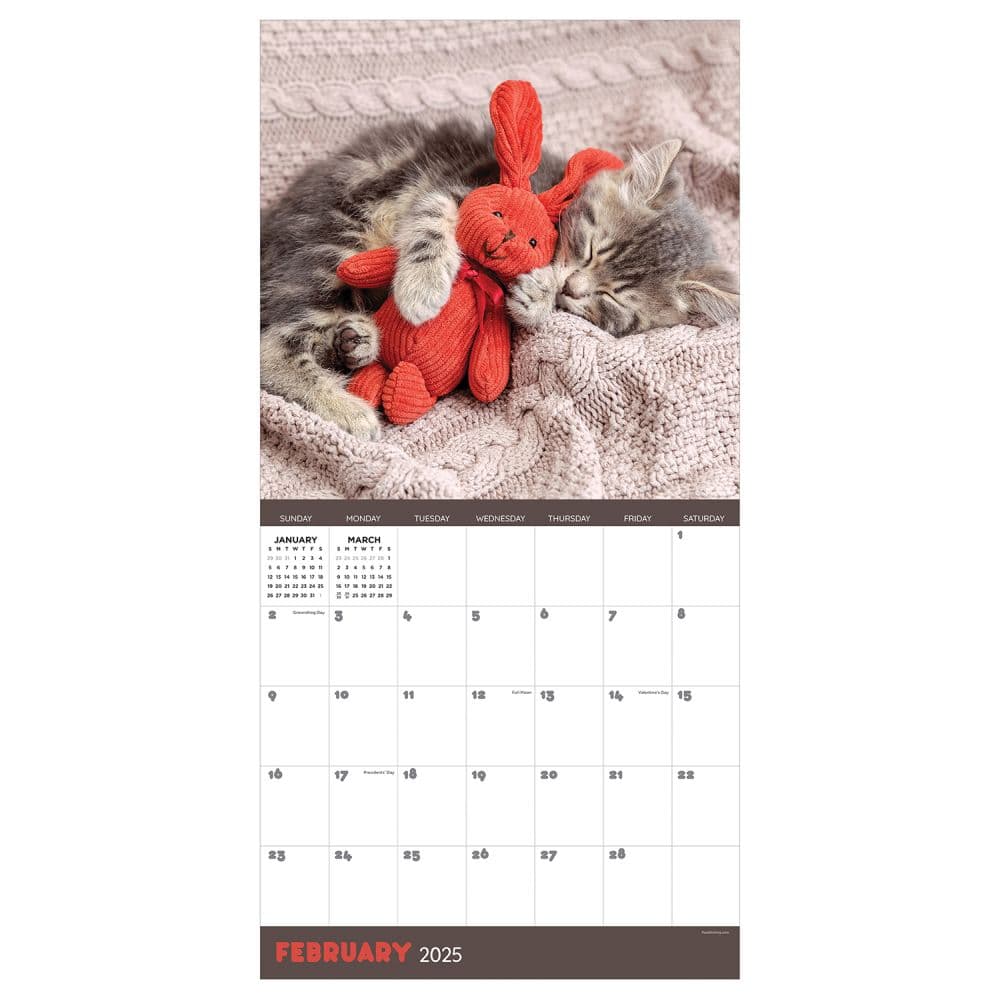 Cat Dreams 2025 Wall Calendar Second Alternate Image width=&quot;1000&quot; height=&quot;1000&quot;