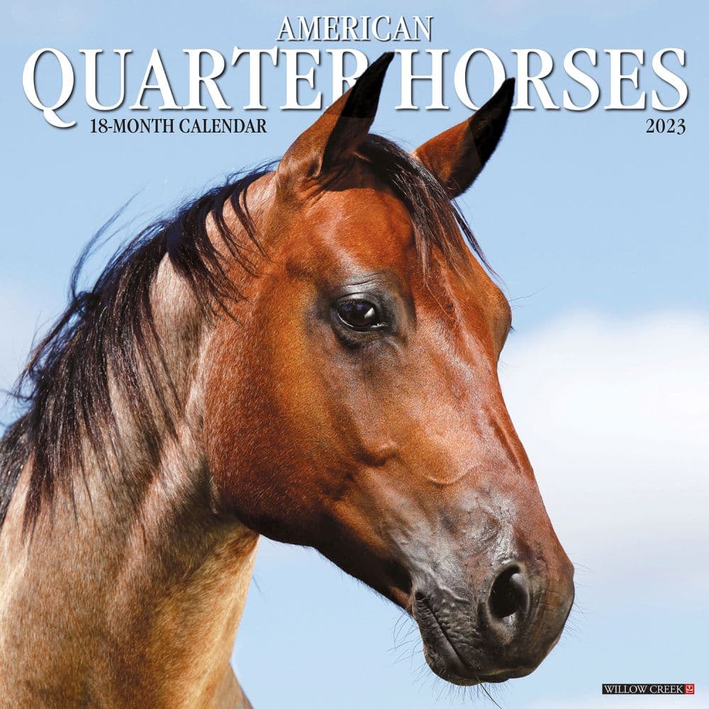 Willow Creek Press American Quarter Horses 2023 Wall Calendar