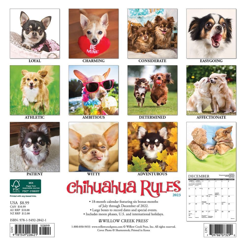 Chihuahua Rules 2023 Mini Wall Calendar Calendars
