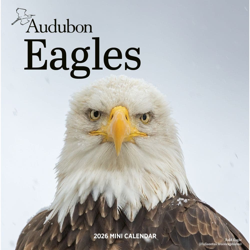 Audubon Eagles 2026 Mini Wall Calendar Main Product Image