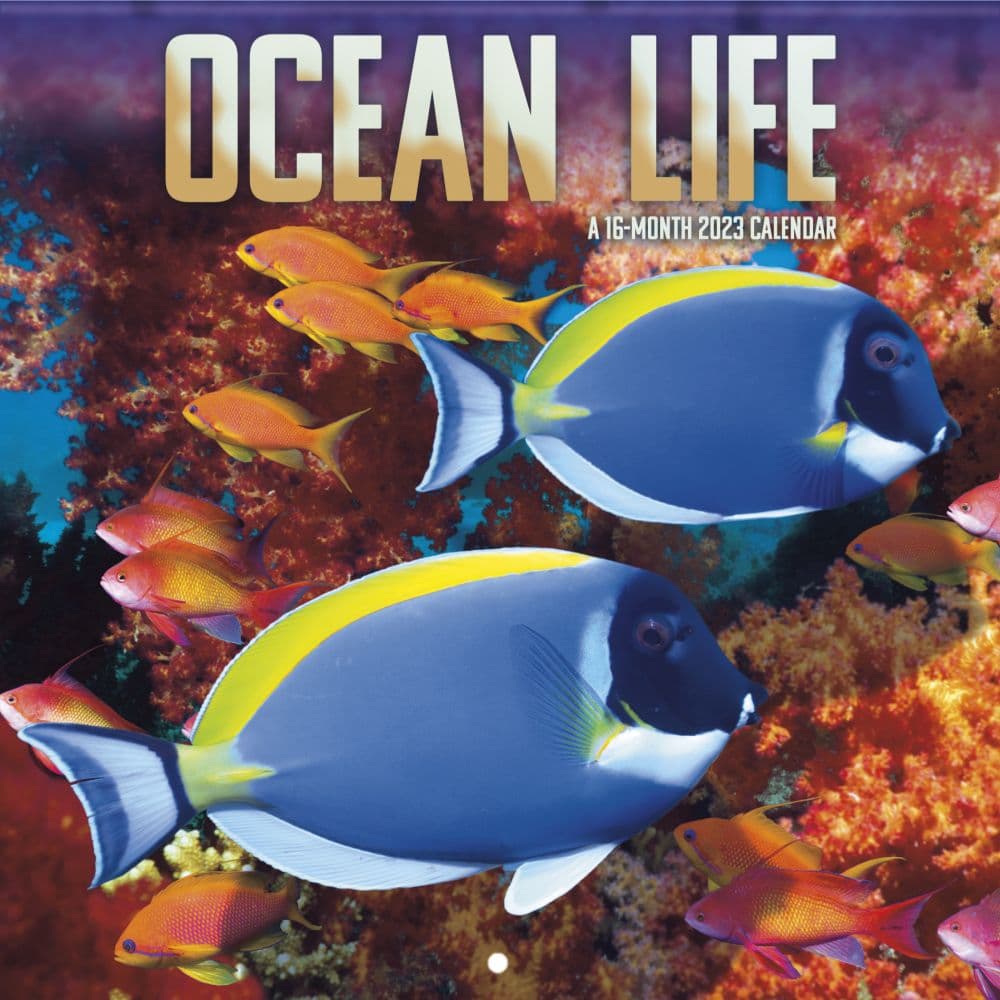 Trends International Ocean Life 2023 Wall Calendar SV