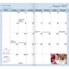 image Kitten Cuddles 2 Year 2026 Pocket Planner Third Alternate Image