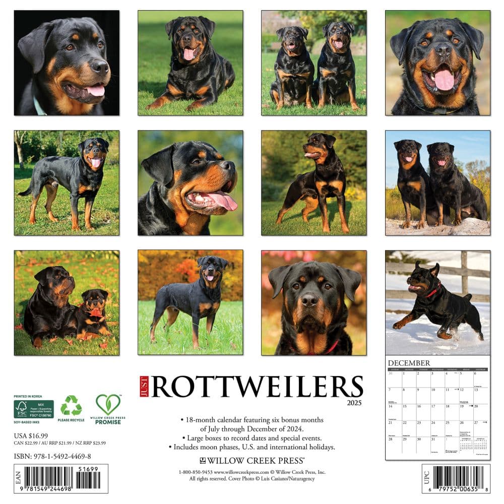 Rottweilers Just 2025 Wall Calendar
