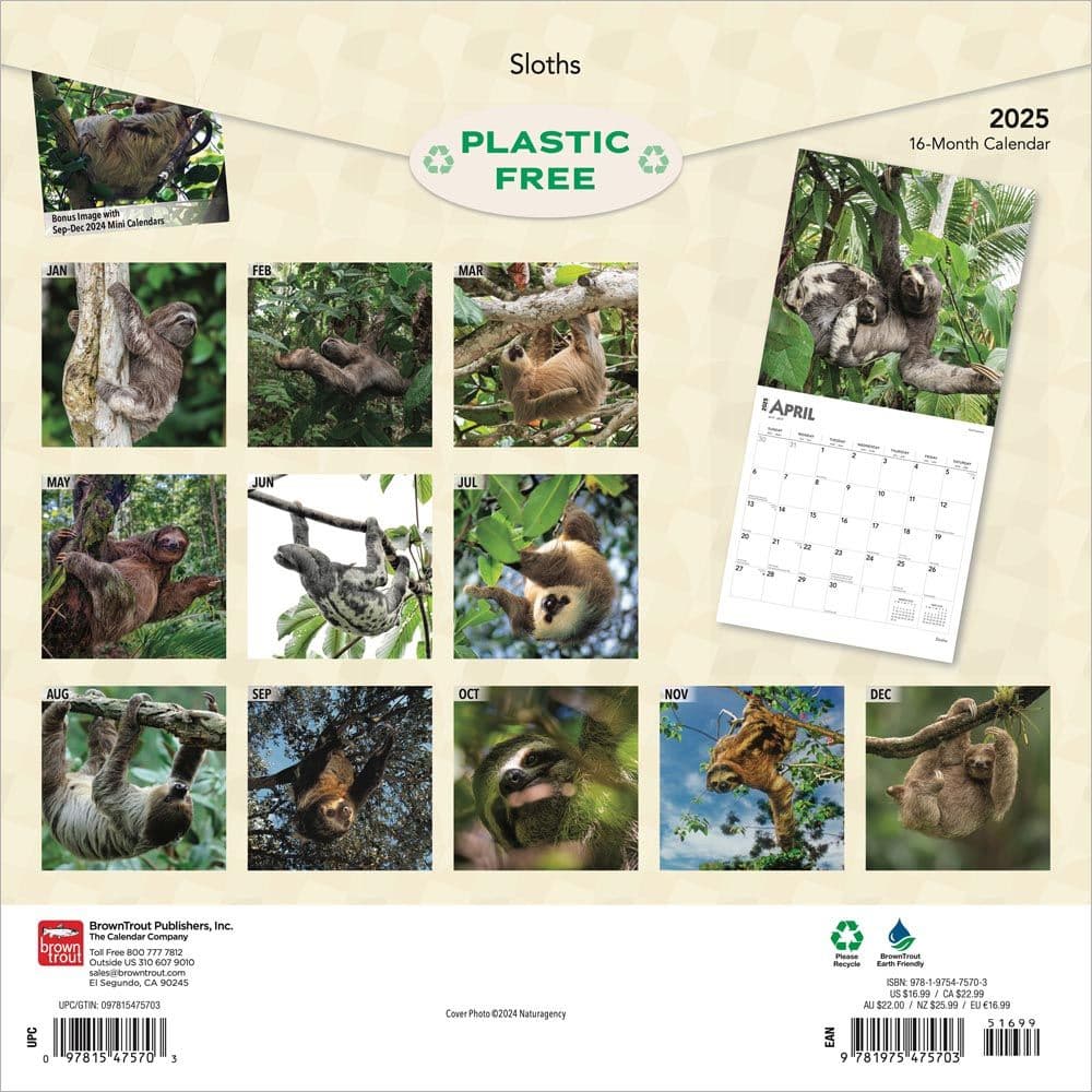 Sloths 2025 Wall Calendar First Alternate Image width=&quot;1000&quot; height=&quot;1000&quot;