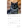 image Love of Cats 2026 Wall Calendar Second Alternate Image