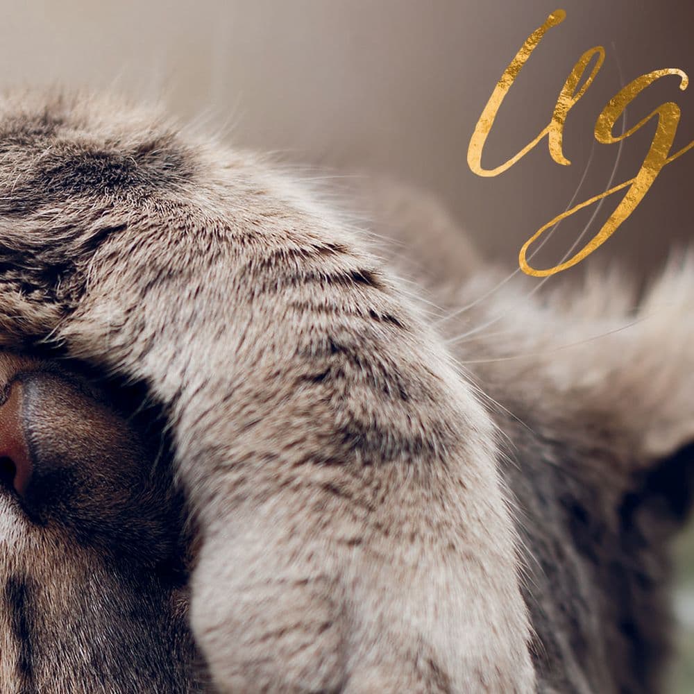 Cat Get Well Card Fourth Alternate Image width=&quot;1000&quot; height=&quot;1000&quot;