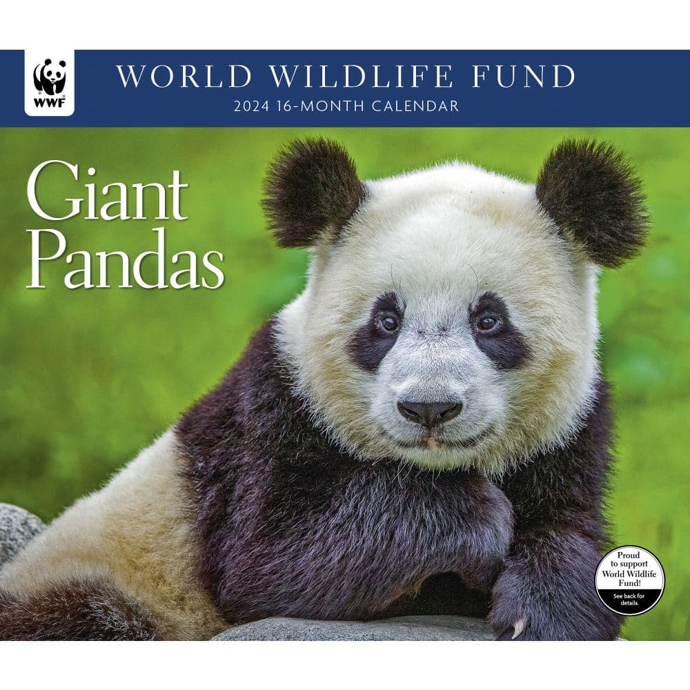 Giant Pandas WWF 2024 Wall Calendar