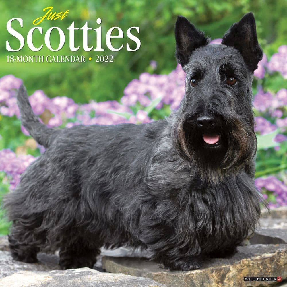 Scottish Terriers 2022 Calendars