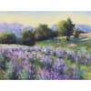 image Soft Escapes Assorted Note Cards Third Alternate Image width=&quot;1000&quot; height=&quot;1000&quot;