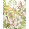image Cottage Ferns Assorted Boxed Note Cards Second Alternate Image