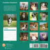 image Australian Shepherds 2025 Wall Calendar First Alternate Image width="1000" height="1000"