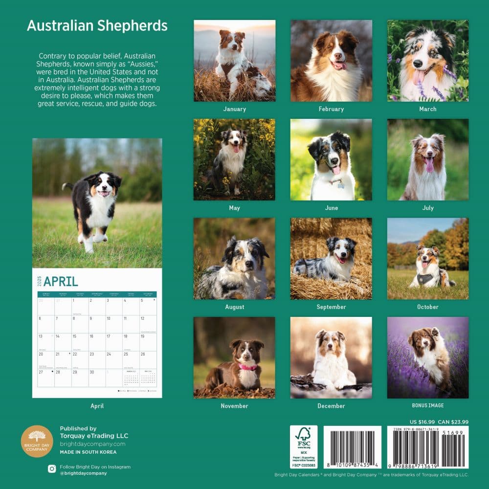 Australian Shepherds 2025 Wall Calendar