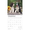 image English Springer Spaniels 2025 Wall Calendar