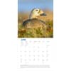image Audubon Arctic 2024 Wall Calendar Alternate Image 1