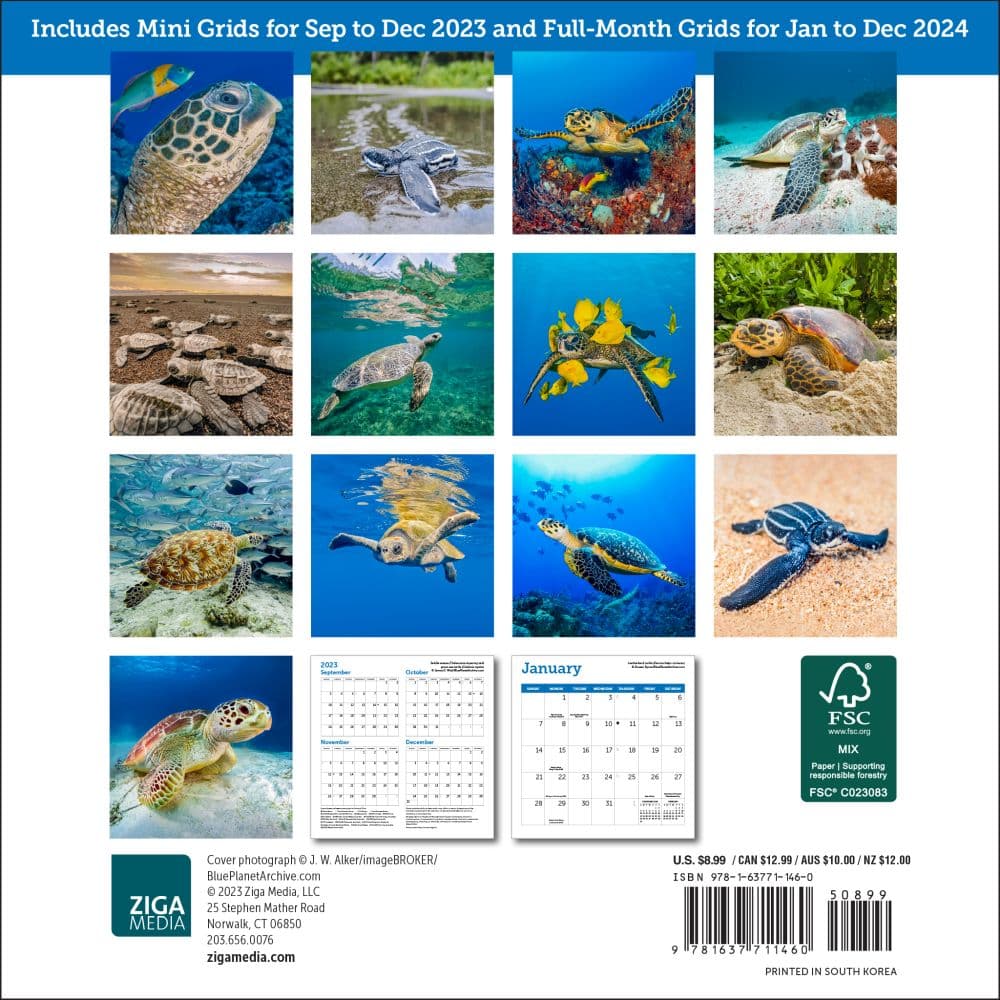 Sea Turtles 2024 Mini Wall Calendar back