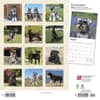 image Schnauzers 2024 Wall Calendar First Alternate Image width=&quot;1000&quot; height=&quot;1000&quot;