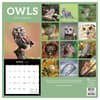 image Owls 2025 Wall Calendar First Alternate Image