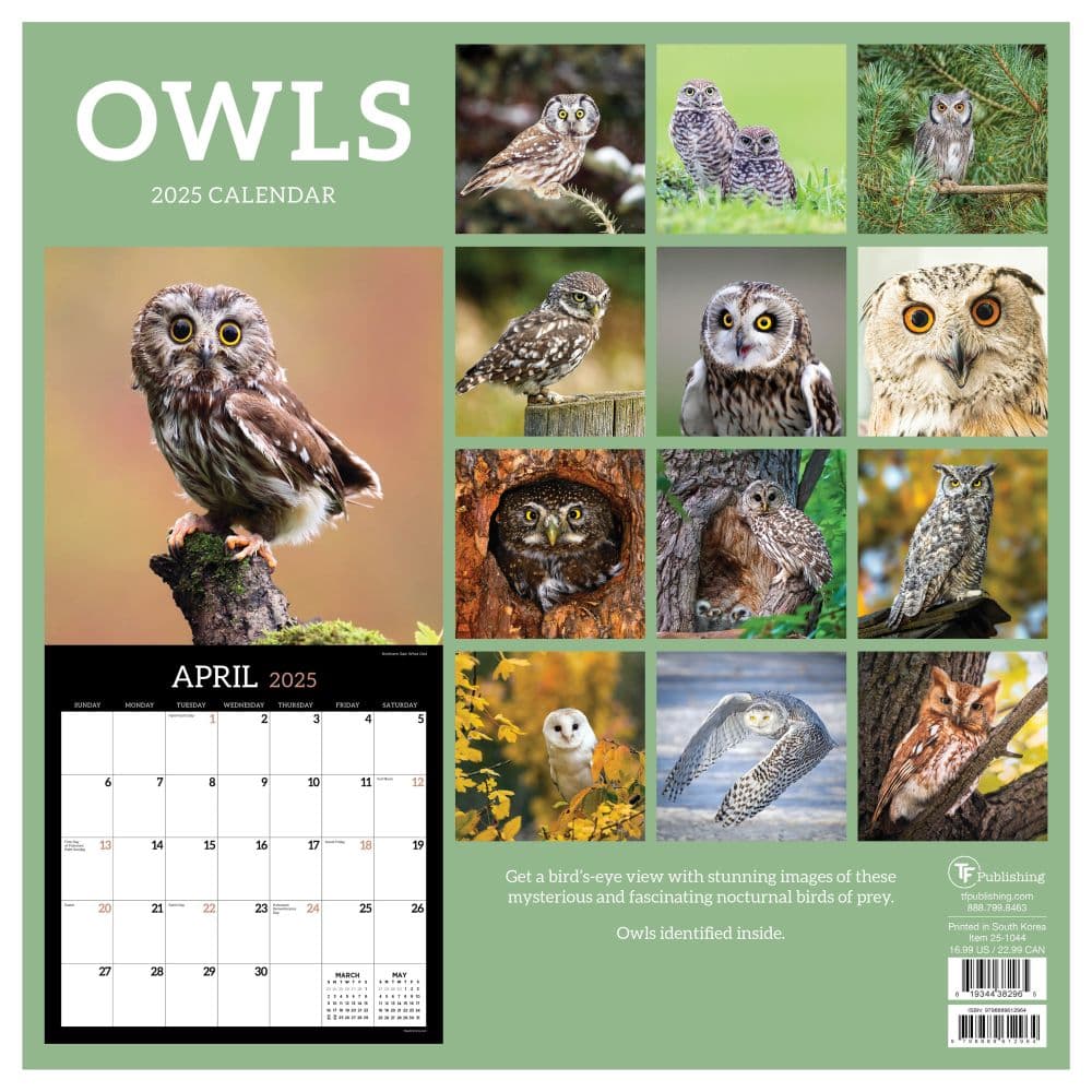 Owls 2025 Wall Calendar First Alternate Image