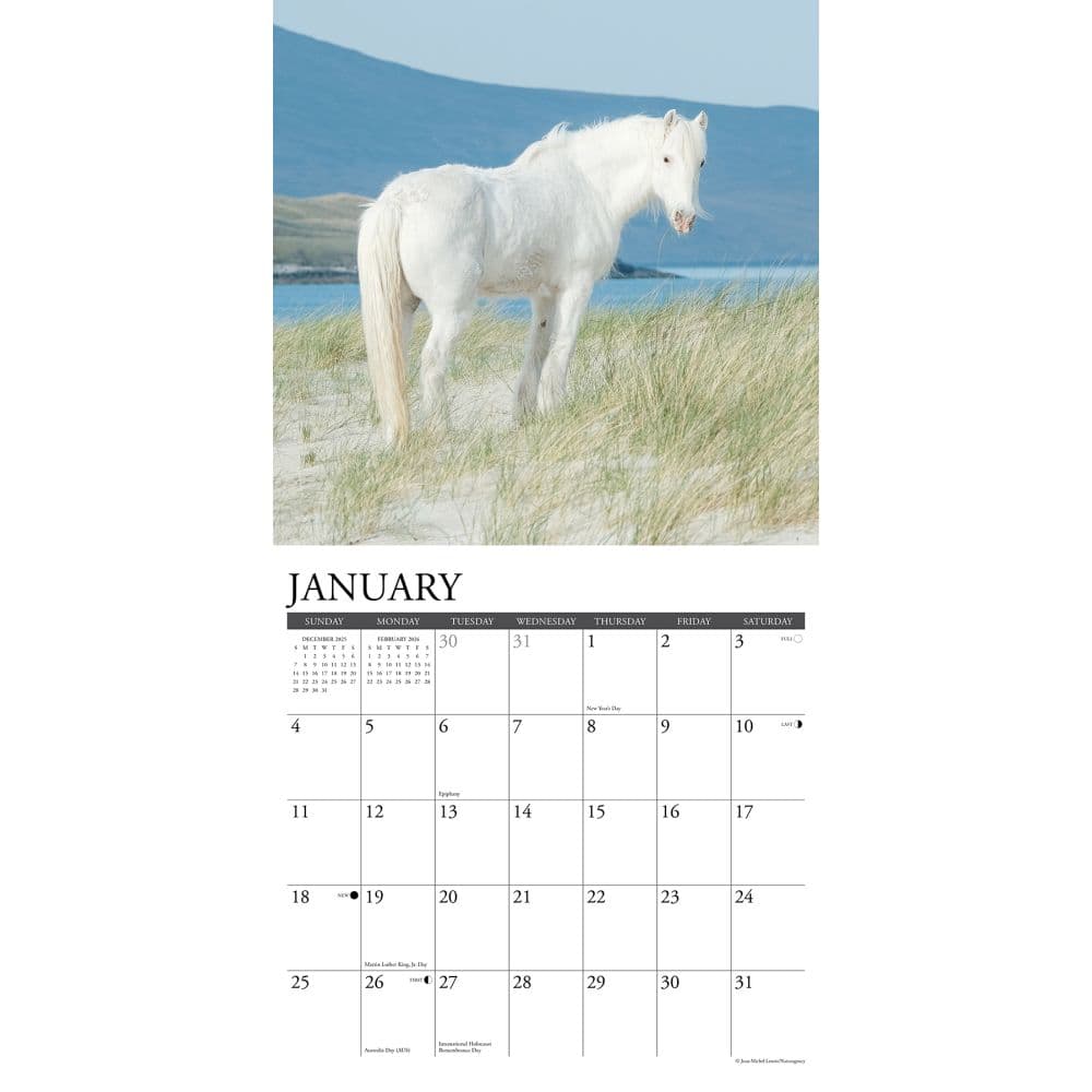 Wild Horses 2026 Wall Calendar Second Alternate Image