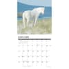 image Wild Horses 2026 Wall Calendar Second Alternate Image