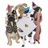 image Dogs With Party Hats Greeting Card 2nd Product Detail  Image width=&quot;1000&quot; height=&quot;1000&quot;