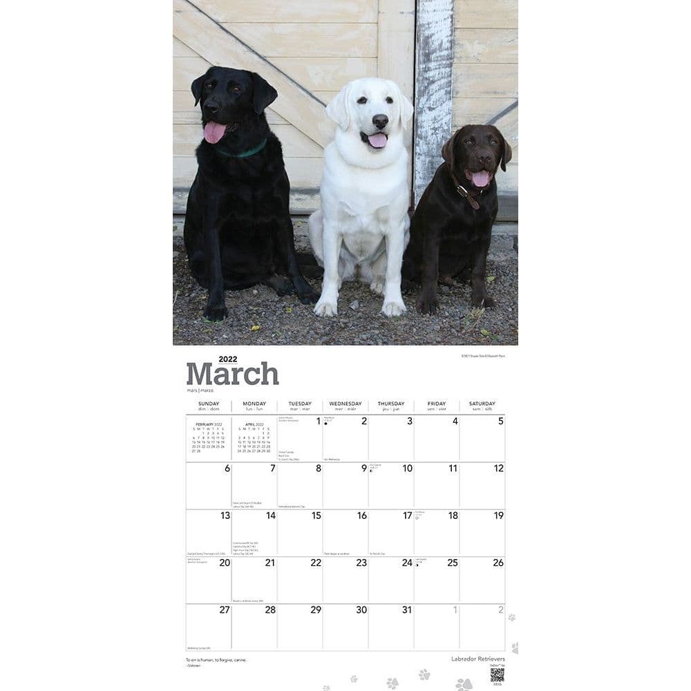 Labrador Retrievers 2022 Wall Calendar - Calendars.com