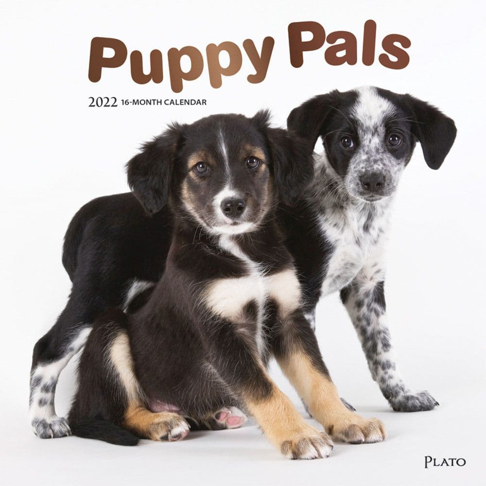 Puppy Pals 2022 Wall Calendar - Calendars.com