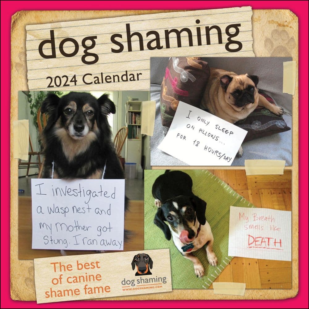 Dog Shaming 2024 Wall Calendar Main Image width=&quot;1000&quot; height=&quot;1000&quot;