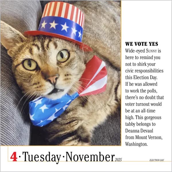 365 Cats 2025 Page-A-Day Desk Calendar patriotic grey tabby cat