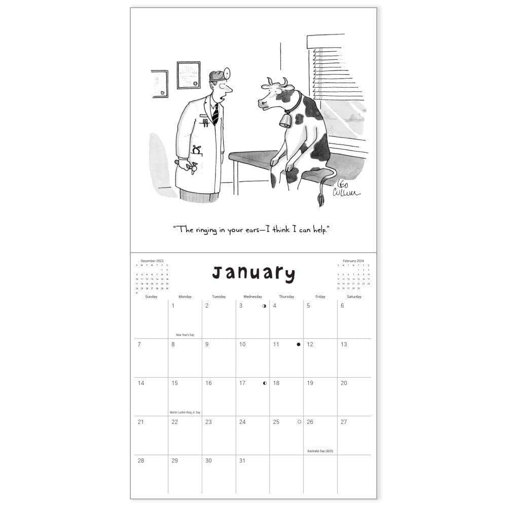 Doctors Cartoons 2024 Wall Calendar