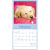 image Dog Naps 2026 Wall Calendar Second Alternate Image