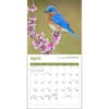 image Songbirds 2025 Mini Wall Calendar Third Alternate Image width="1000" height="1000"