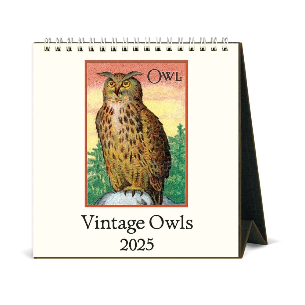 Owls Desk 2025 Easel Desk Calendar