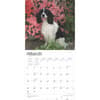 image English Springer Spaniels 2025 Wall Calendar